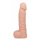 realistixxx Stehender Dildo II. 