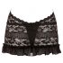 Cottelli - Halsband Spitzen-Mini (Schwarz)  - XL