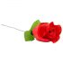 Stringtanga Rose - Rote Rose (S-L)