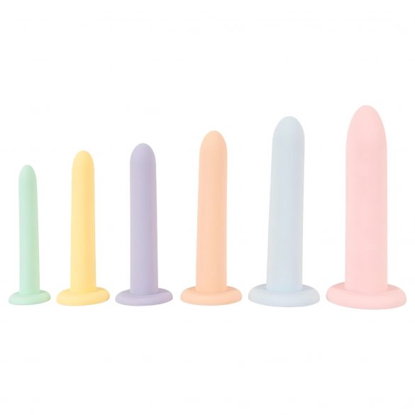 Sechs in einer Reihe - Dildo-Trainer-Set - 6 Stück (Farbe) 