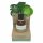 Coconutoil - Bio Haarentfernungs- und Rasieröl (50ml)