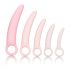 CalExotics Inspire - Gesundheitssilikon-Vaginaldehner-Set (pink)