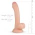 Real Fantasy Vince - Hoden und Vorhaut Dildo - 19,5cm (natur) 